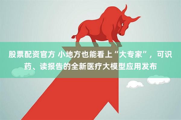 股票配资官方 小地方也能看上“大专家”，可识药、读报告的全新医疗大模型应用发布